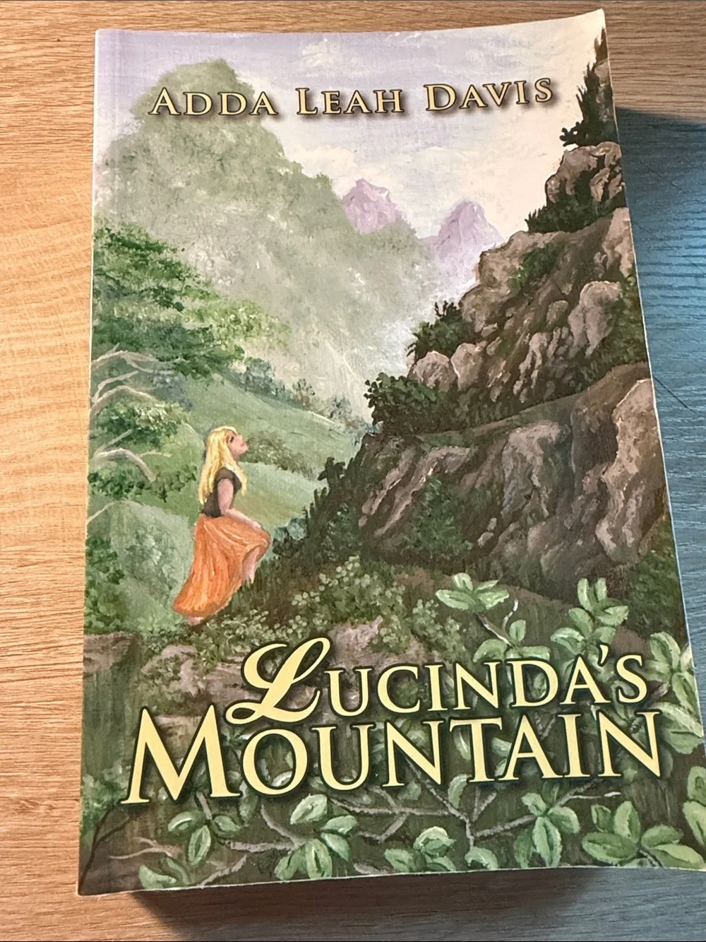 Lucinda's Mountain Coffee Table Book – Green & Orange Illustrated Cover